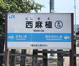 ������ �����A�w