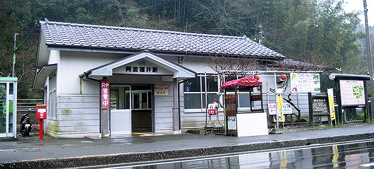 ���g����w