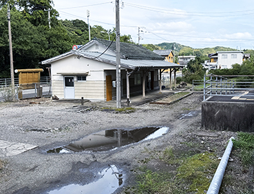 ����� ���g����w