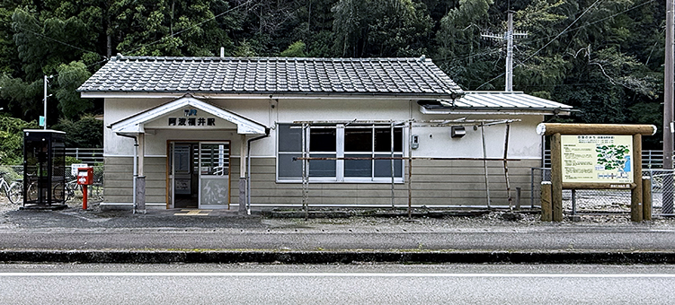 ����� ���g����w