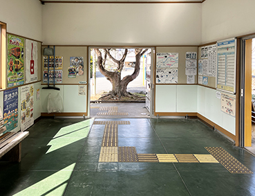 ����� �V��w