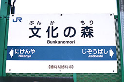 �����̐X�w