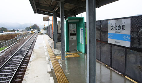 �����̐X�w