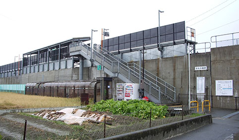 �����̐X�w