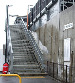 �����̐X�w