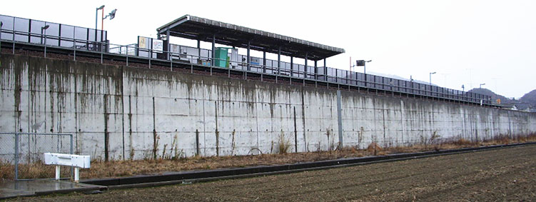 �����̐X�w