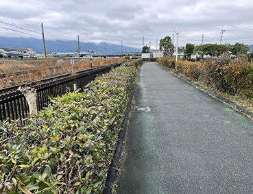 ����� ���c�w