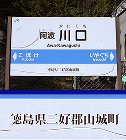 ���g����w