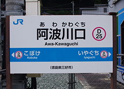 ���g����w