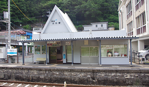 ���g����w