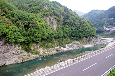 ���g����w