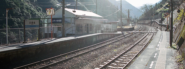 �y�]�� ������w