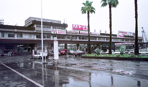 ���m�w���w��