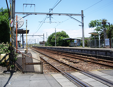 �������w