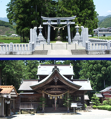 �����_�БO�w