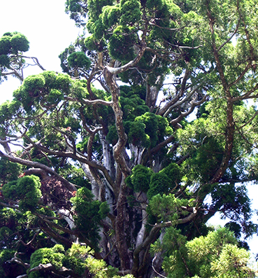 �����_�БO�w