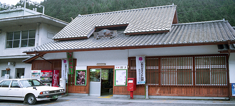 �吙�w���w��