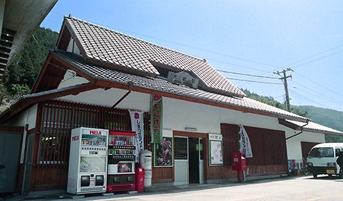 �吙�w���w��