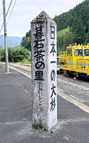 �y�]�� �吙�w