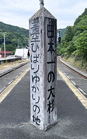 �y�]�� �吙�w