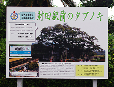 �]����c�w