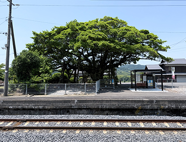 �y�]�� �]����c�w