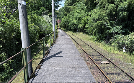 �y�]�� �V���w