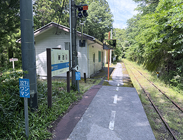 �y�]�� �V���w