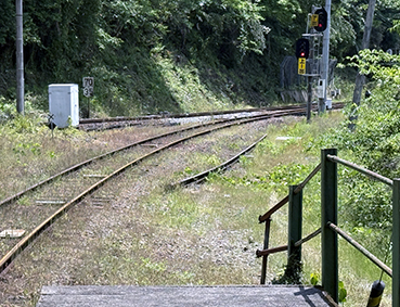 �y�]�� �V���w