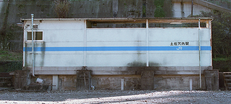 �y�������w