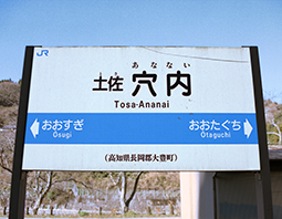 �y�������w