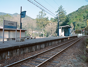 �y�������w