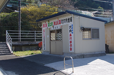 �y�������w