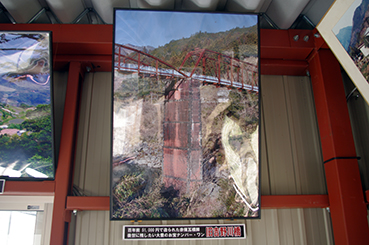 �y�������w