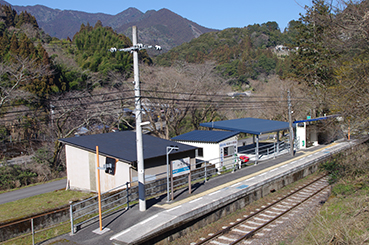 �y�������w