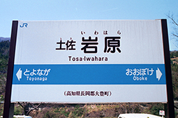 �y���⌴�w