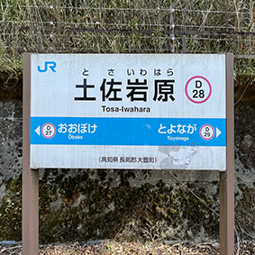 �y���⌴�w