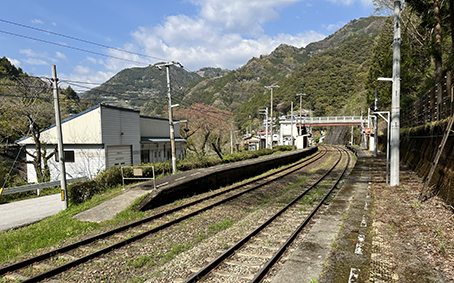 �y���⌴�w