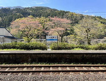 �y���⌴�w