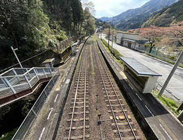 �y���⌴�w