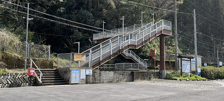 �y���⌴�w