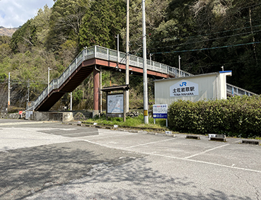 �y���⌴�w