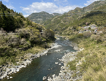 �y���⌴�w