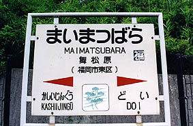 �������w