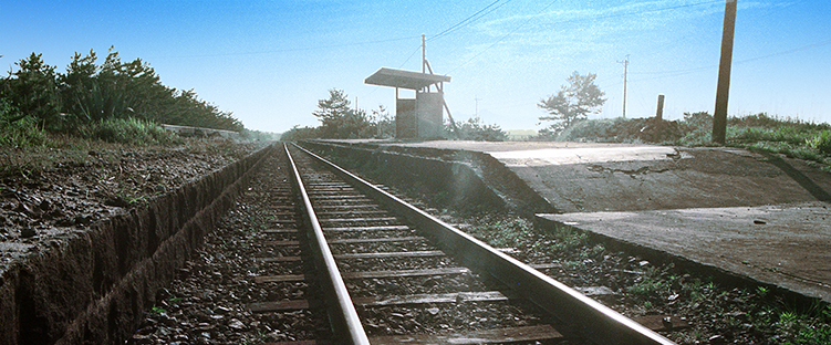 ���C�m�����w