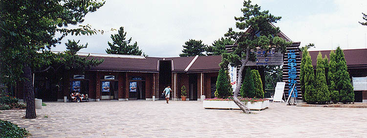 �C�m�����w