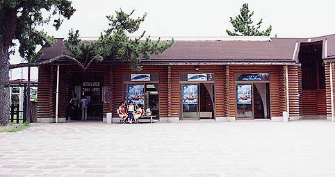 �C�m�����w