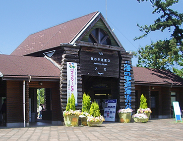 �C�m�����w