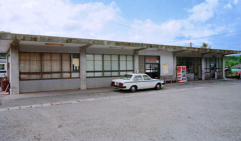 ���������w