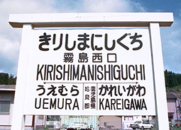 ���������w